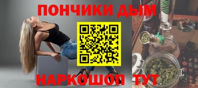 шишки Новодвинск