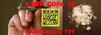 шишки Новодвинск
