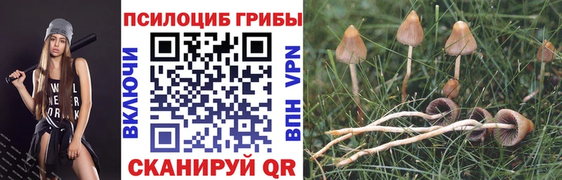 наркошоп  Туапсе  Галлюциногенные грибы Cubensis 