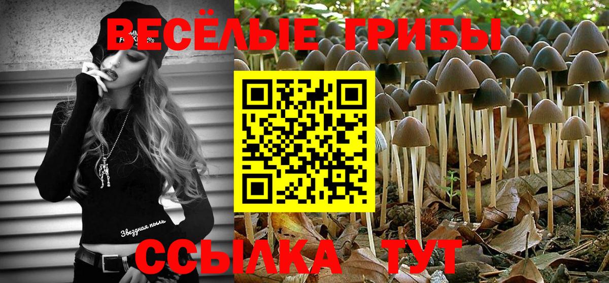 Галлюциногенные грибы ЛСД  Псилоцибиновые грибы ЛСД  Туапсе  Вход с VPN 